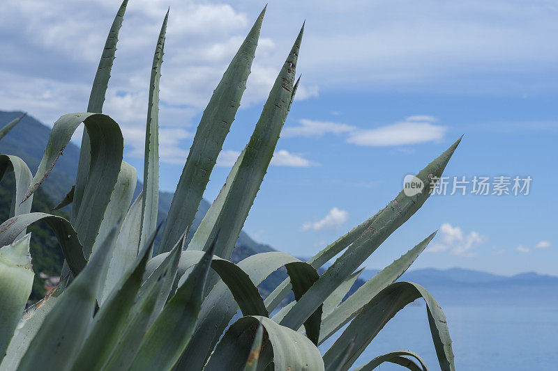 Maggiore - Cannero Riviera湖